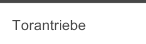 Torantriebe