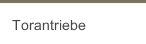 Torantriebe